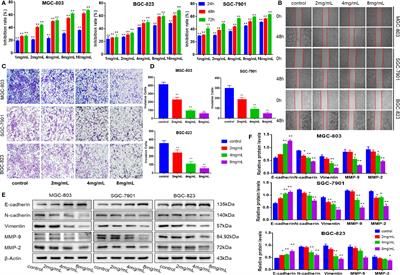 PKM2 Is the Target of a Multi-Herb-Combined Decoction During the Inhibition of Gastric Cancer Progression